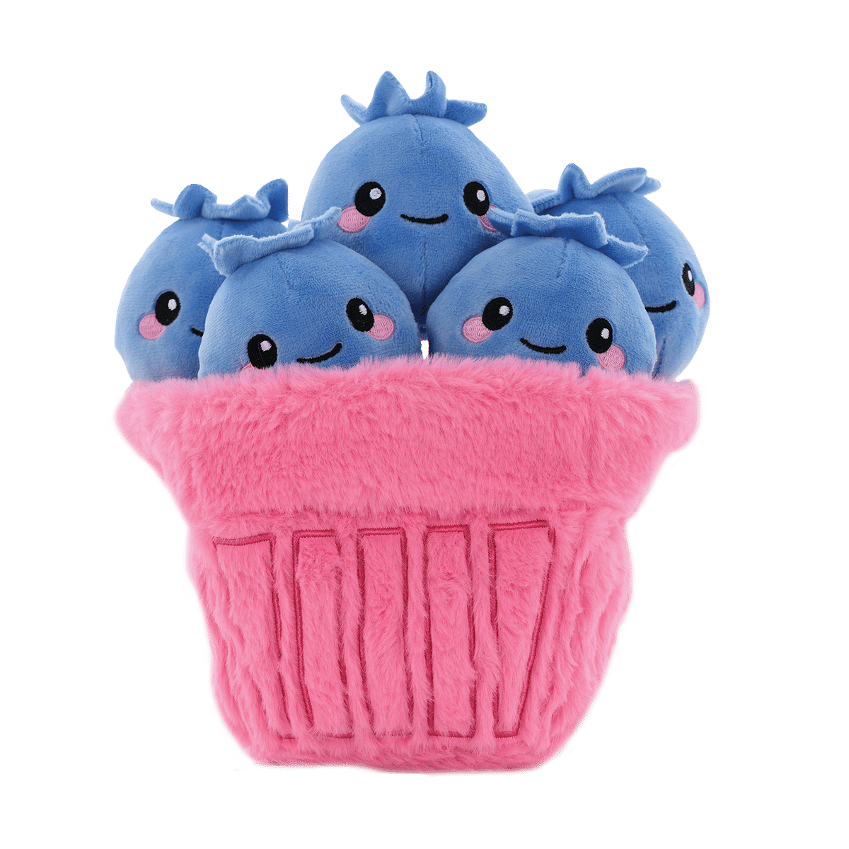 Berries Blueberries Furry