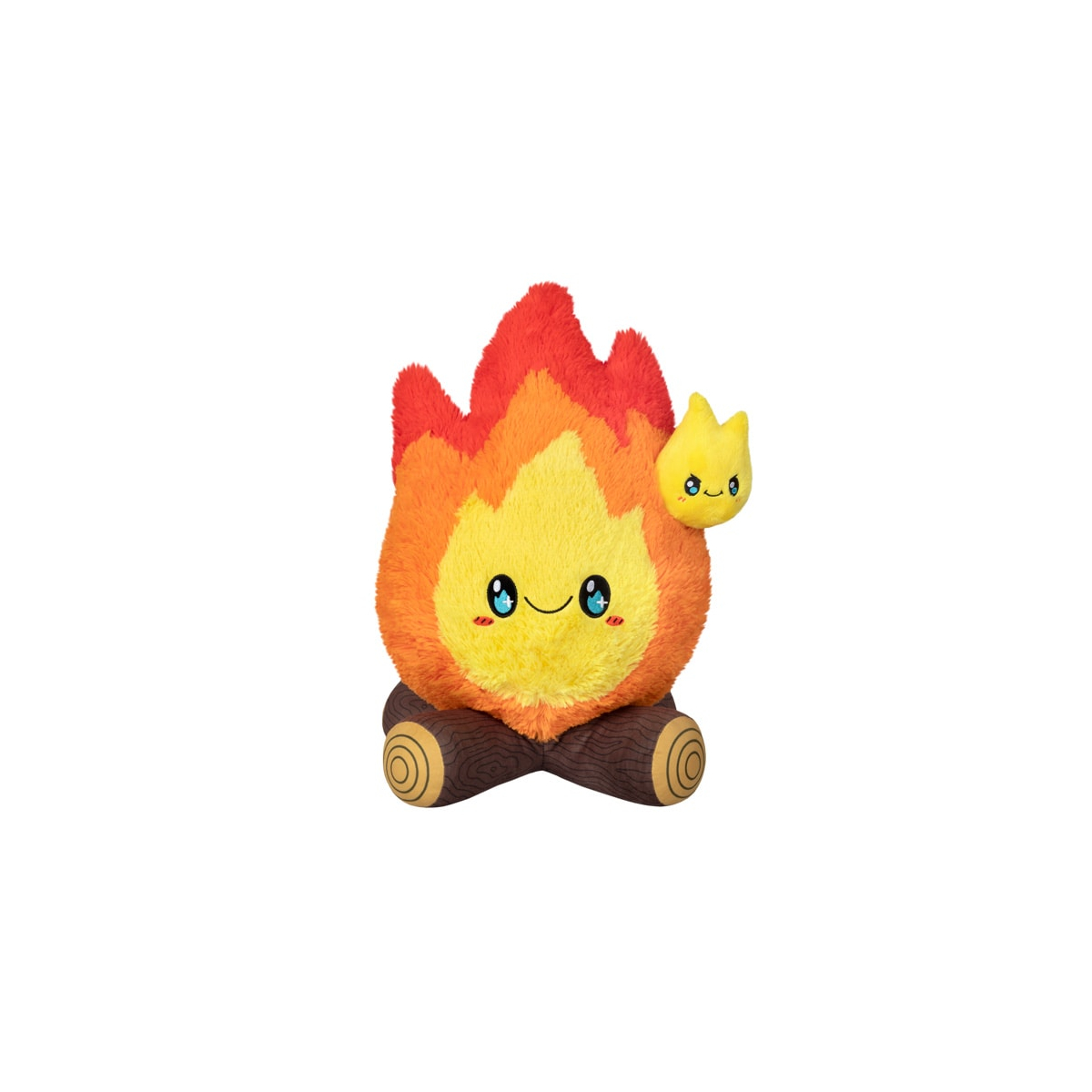 Campfire