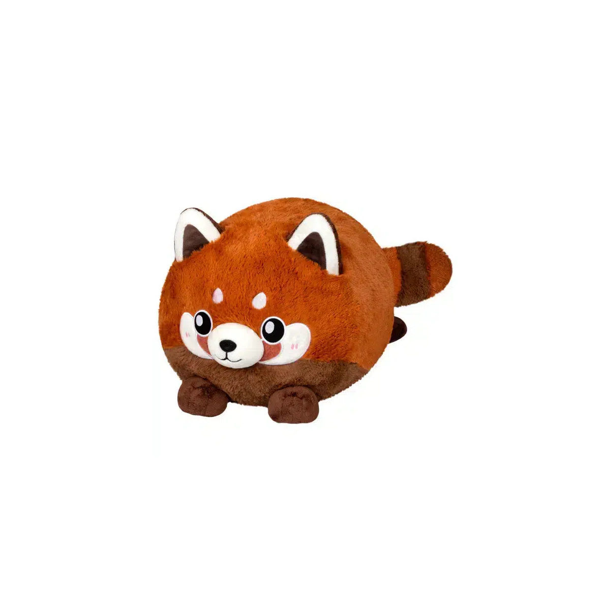 Baby Red Panda