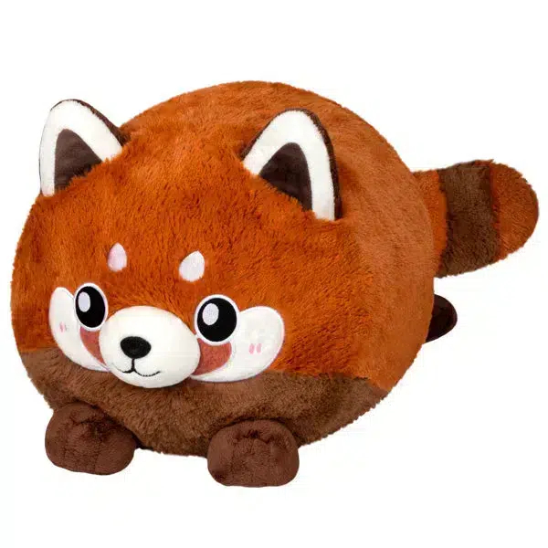 Baby Red Panda