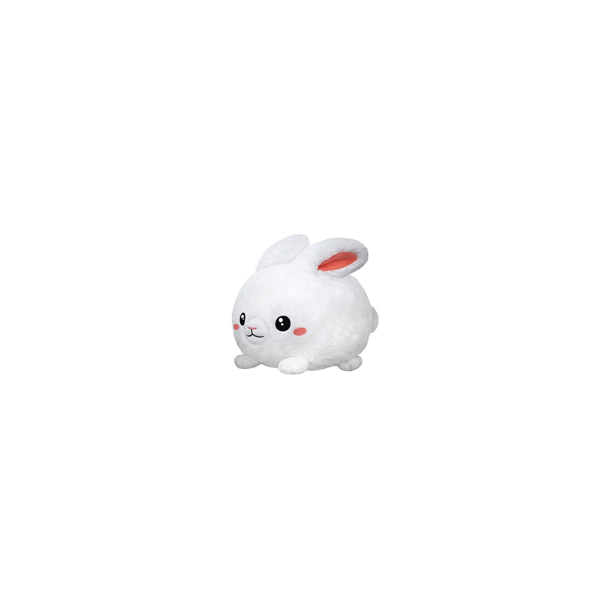 Fluffy Bunny