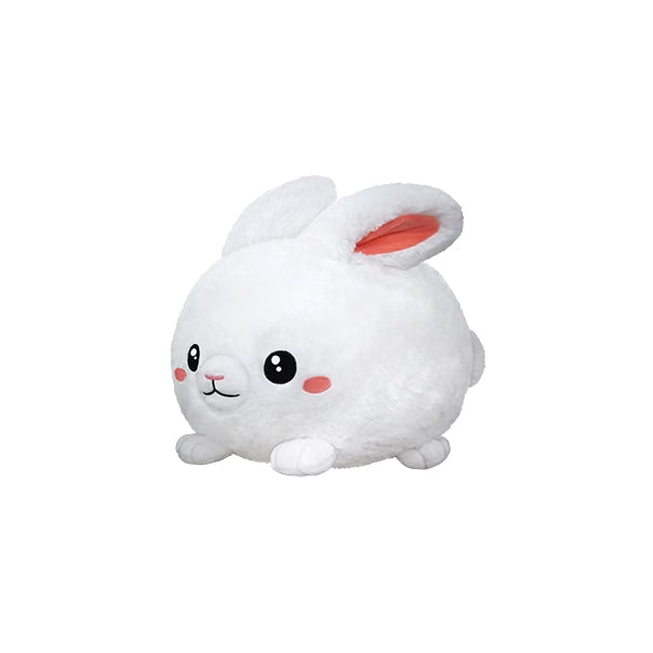 Fluffy Bunny